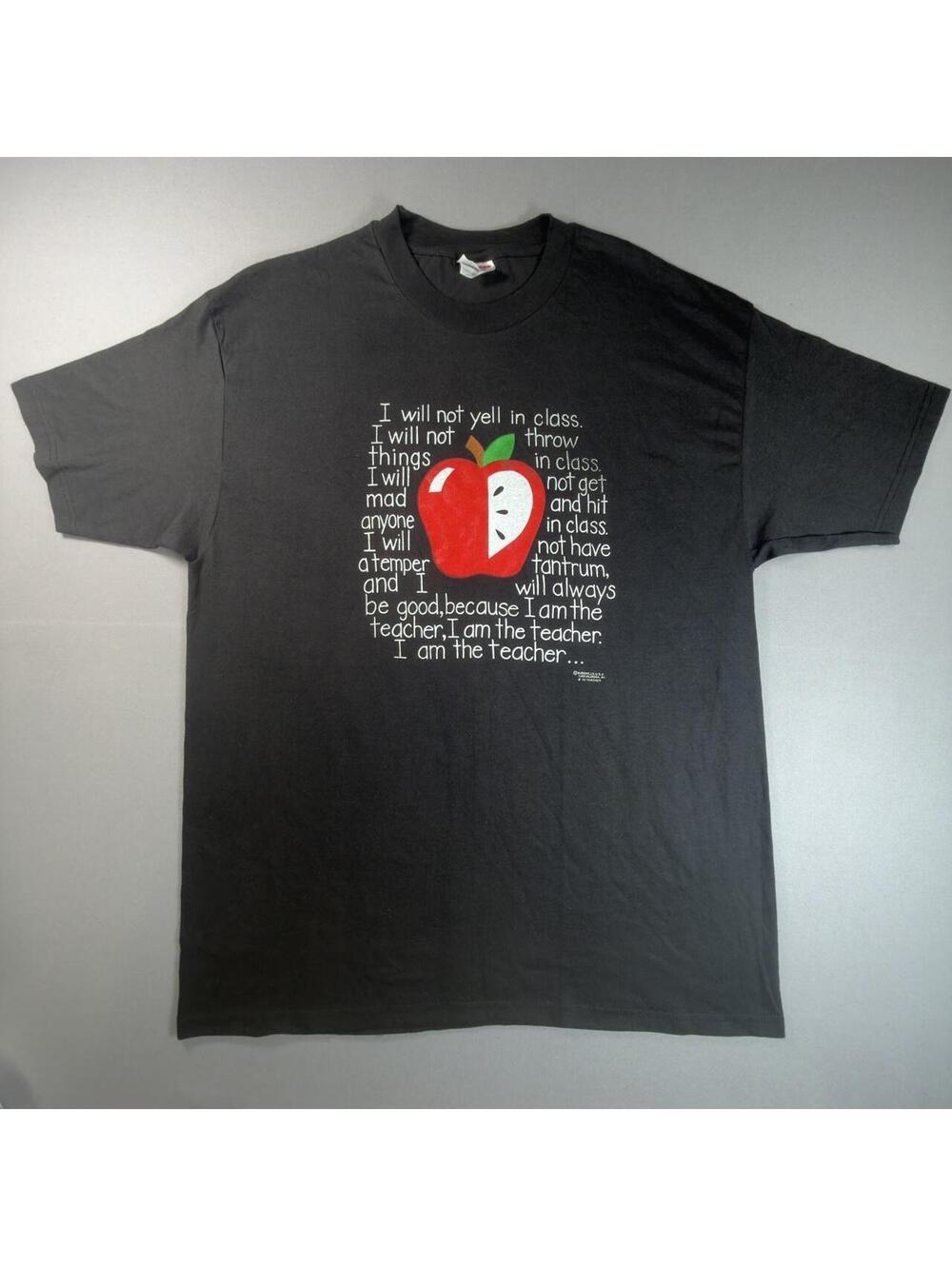 Funny Teacher Rules Apple Graphic T Shirt Gray Mens XL Short Sleeve Tee